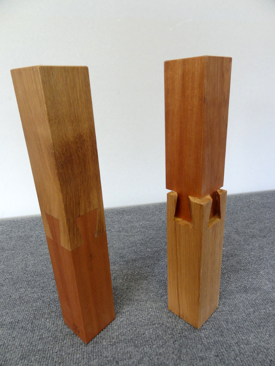 Enture Queue d'Aronde sur 4 faces