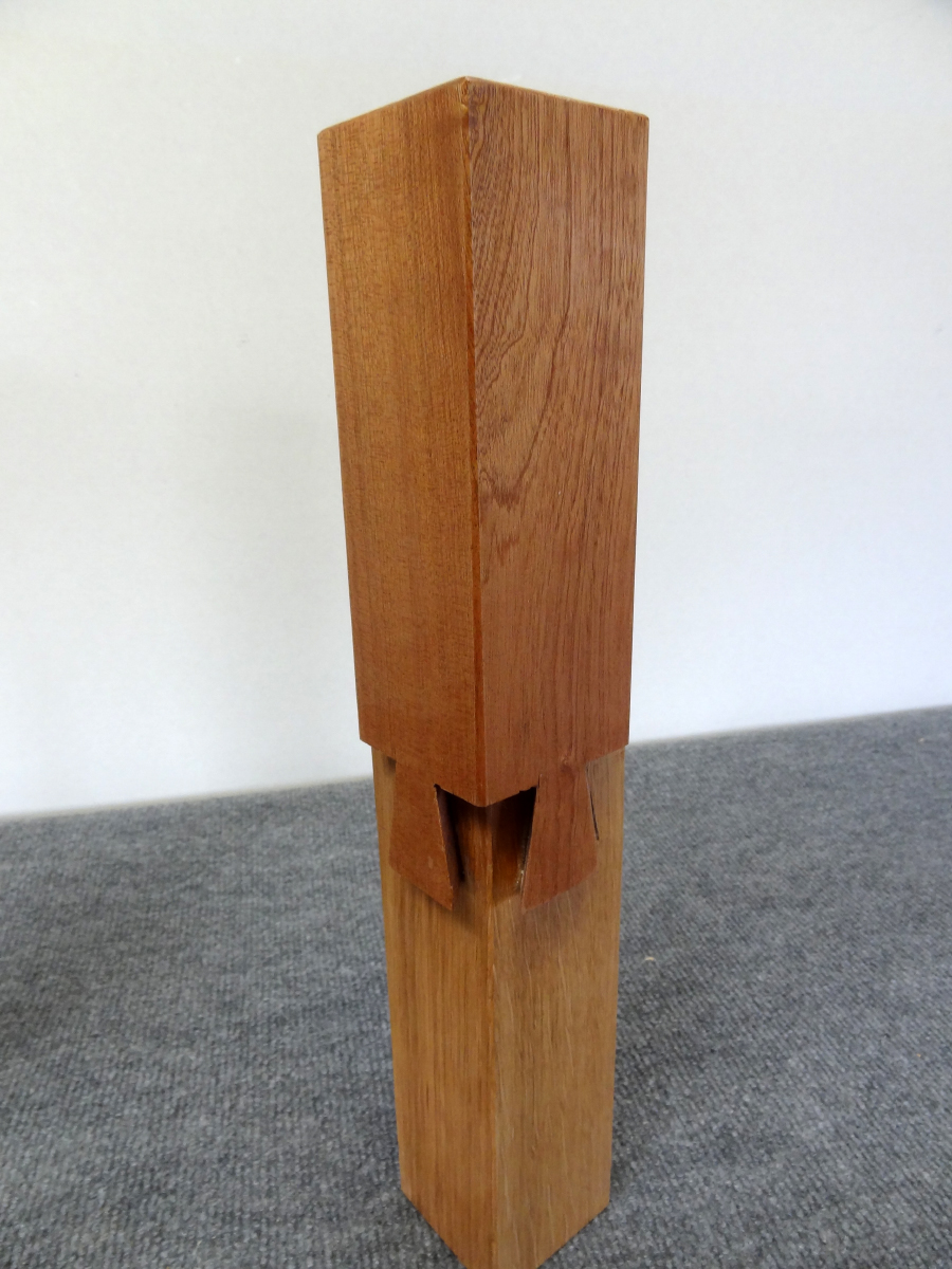 Enture Queue d'Aronde sur 4 faces