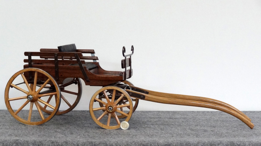 Reproduction hippomobile derby